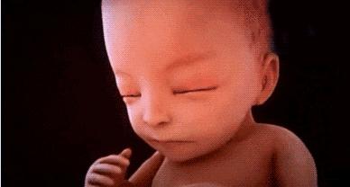 胎儿在妈妈肚子里干什么图片,胎儿在妈妈肚子里的位置变化