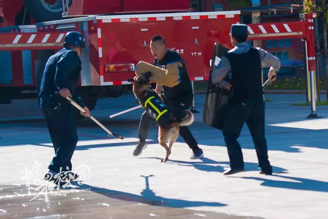 昆明的防暴演练,昆明西山消防演练