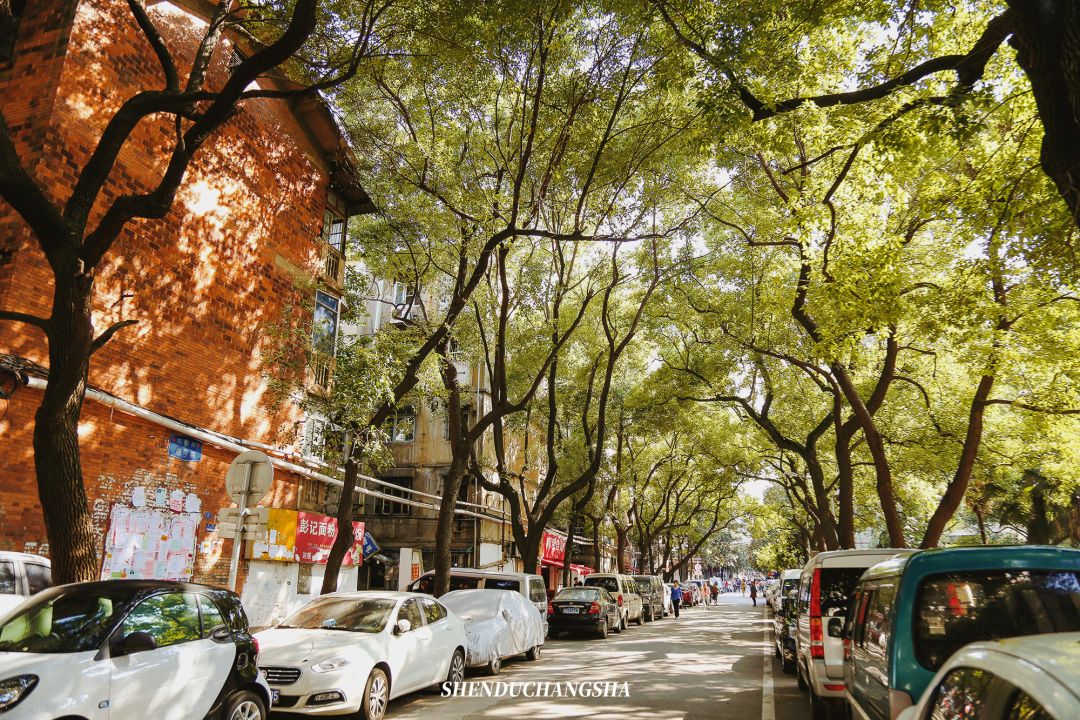 长沙旅游攻略必去的十大景点推荐,长沙旅游攻略必去十大景点免费