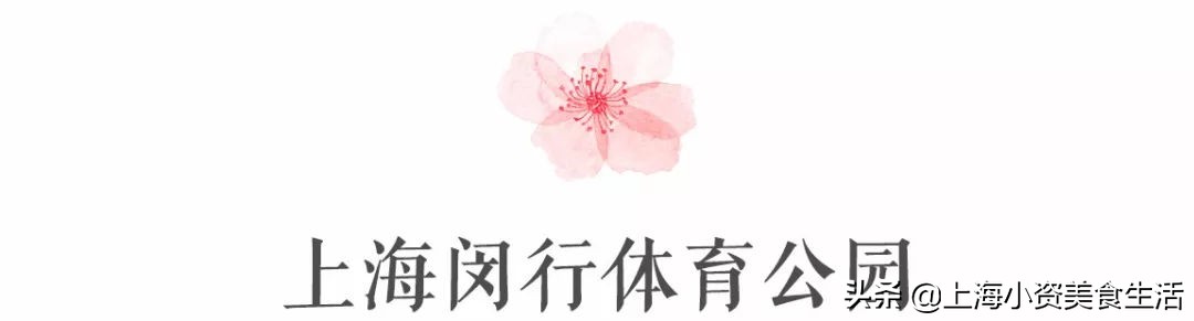 顾村公园一年一度赏樱,顾村公园赏樱点