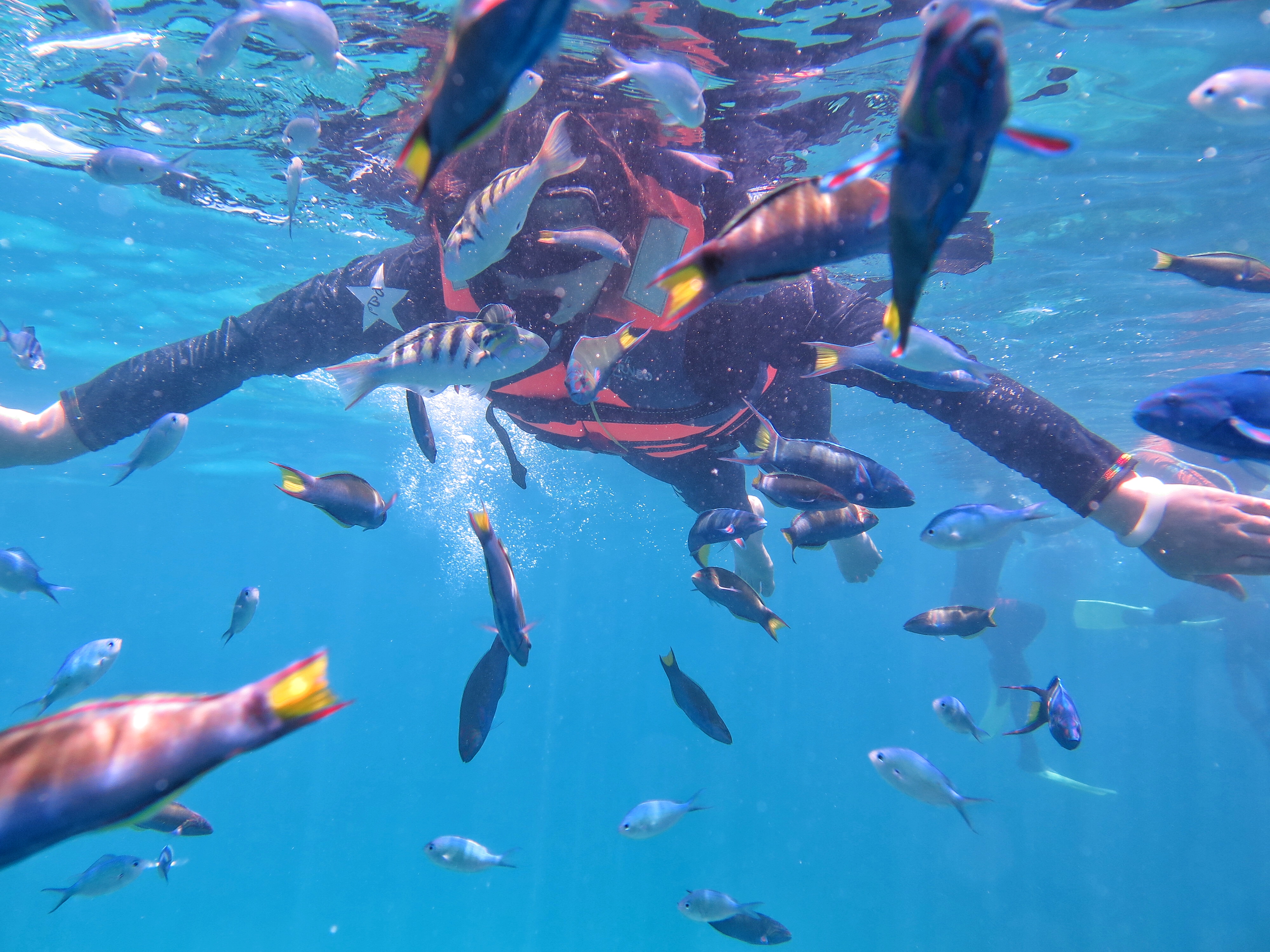 马来西亚沙巴6天5晚浪漫之旅,跟有趣的人在一起玩会有趣