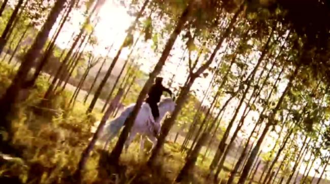 我亲爱的甜橙树梗概500字,我亲爱的甜橙树第三章故事脉络