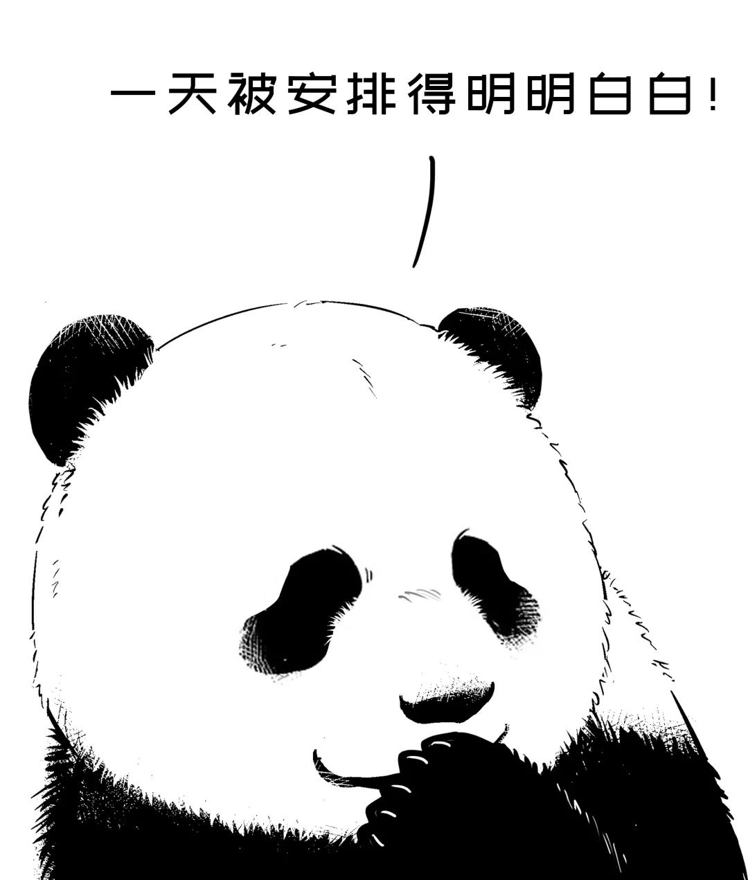 从欧洲杯到体育赛事，央视频带你“胖”起来