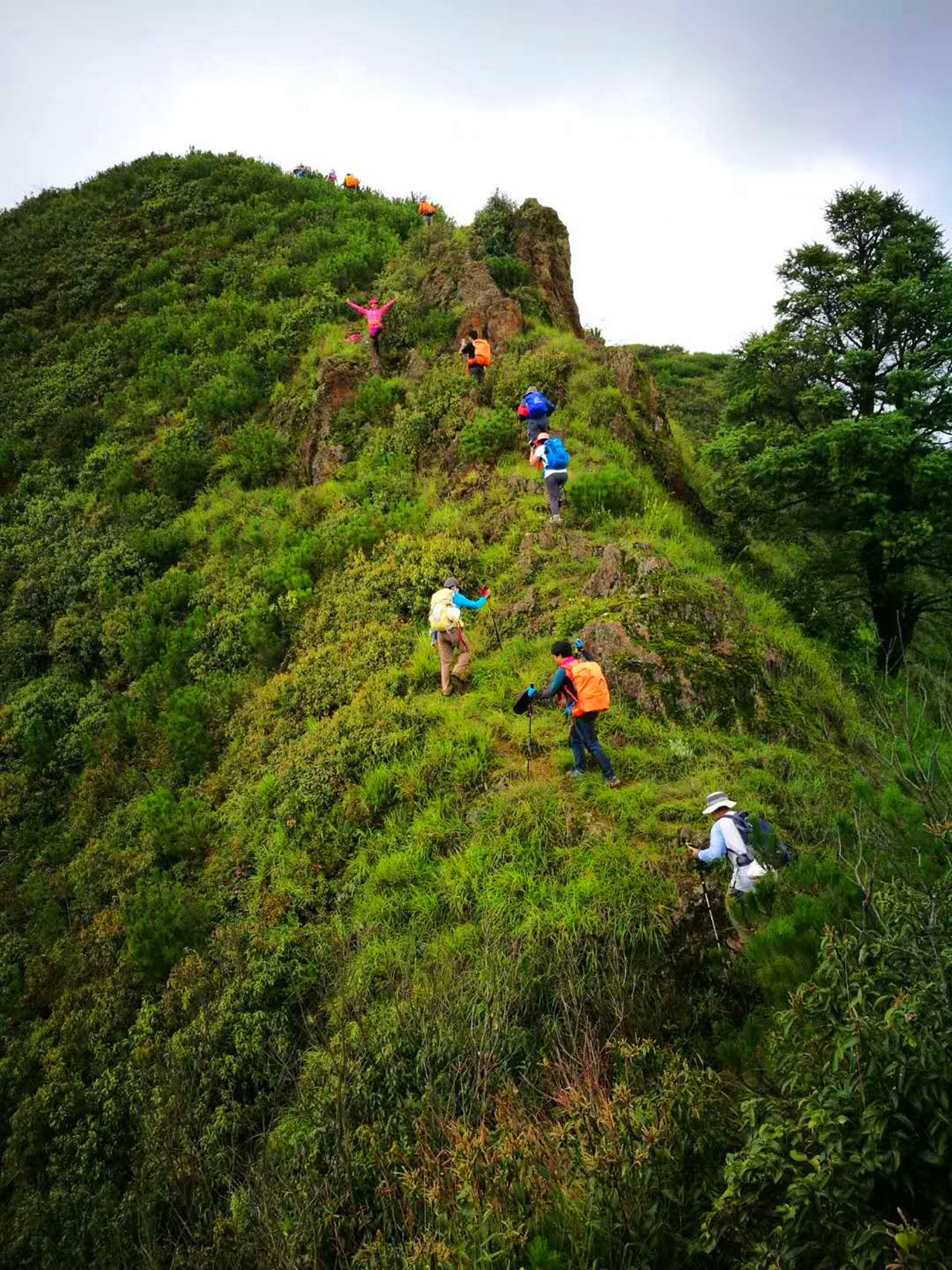 盛夏特约|金色螳螂川徒步笔架山赏向日葵花海