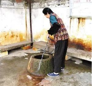 井水养殖龙虾,井水养殖淡水虾