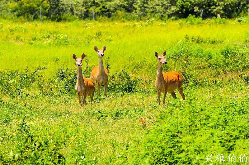 海南哪里适合养老定居,海南哪个市最值得旅游居住