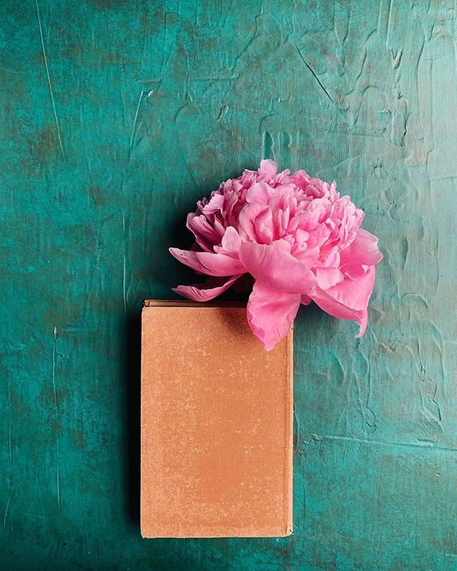 比水还干净的治愈句子句句温暖,比水干净的经典句子