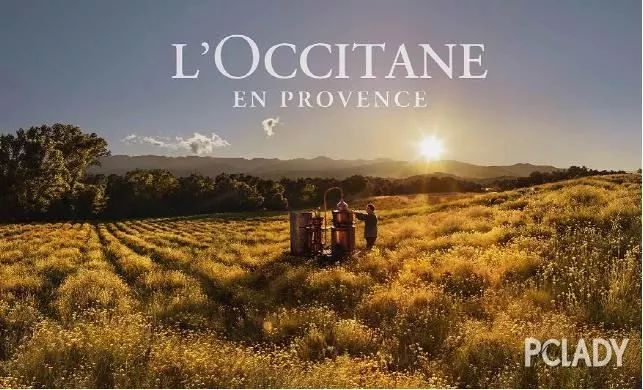 欧舒丹蜡菊修护晚霜,欧舒丹蜡菊面霜蓝瓶