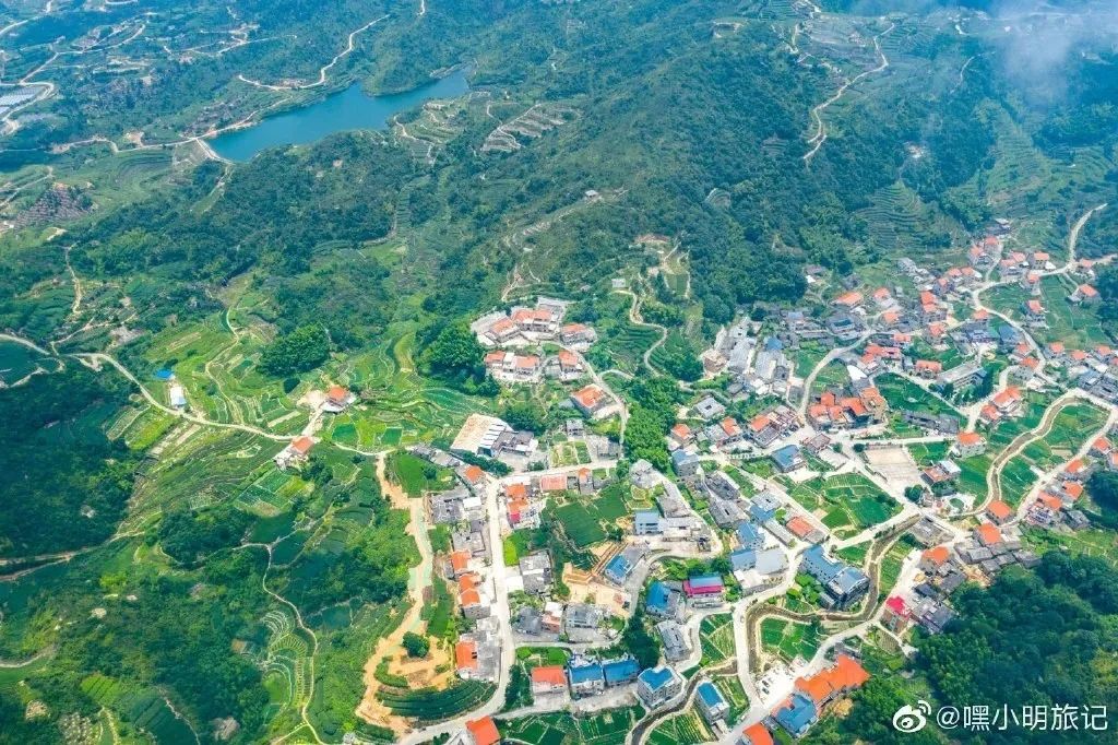 你好，我叫厦门，这是我的简历