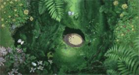 宫崎骏老爷爷笔下经典形象龙猫的原型居然是个鸟，WTF+问号脸