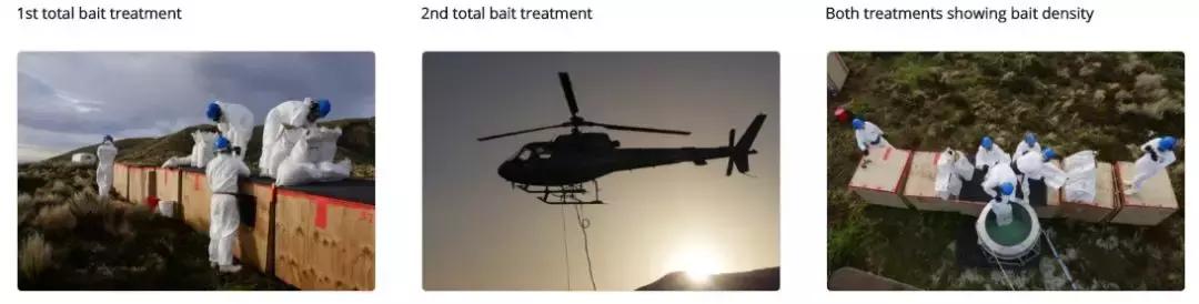 这个新西兰小岛，隐藏的惊世秘密