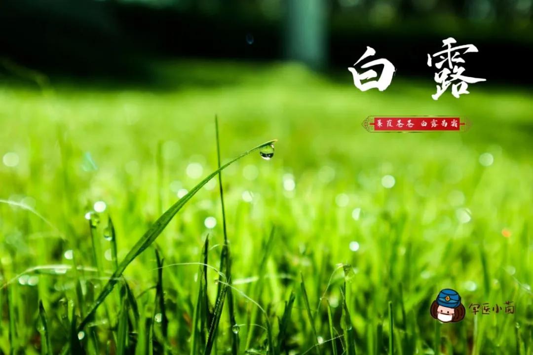 军医小茵所有视频,军医小茵