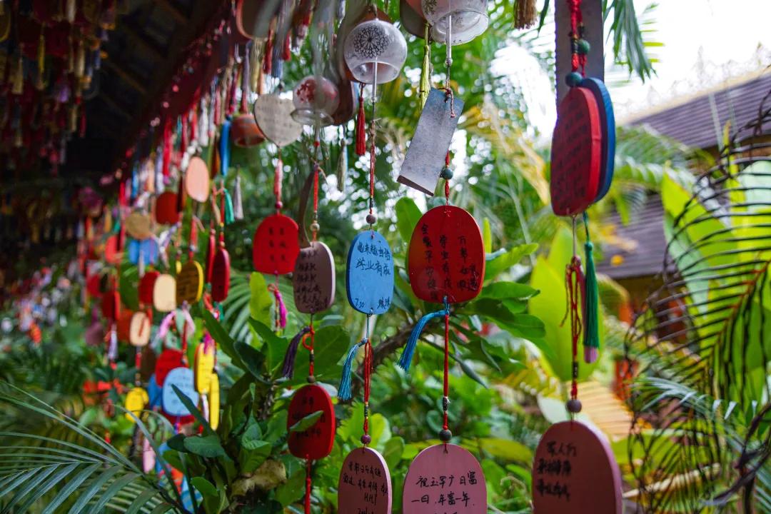 打卡中老铁路,曼听公园网红打卡景点