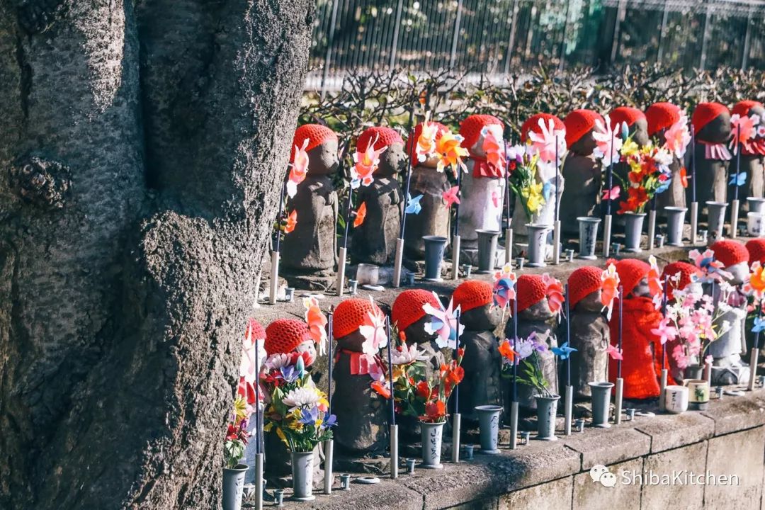 表参道和代官山的距离,表参道代官山店几点开门