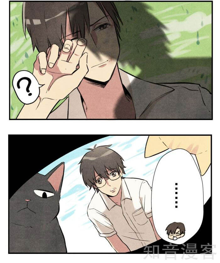 猫和铲屎官的日常生活漫画,猫和铲屎官的日常漫画