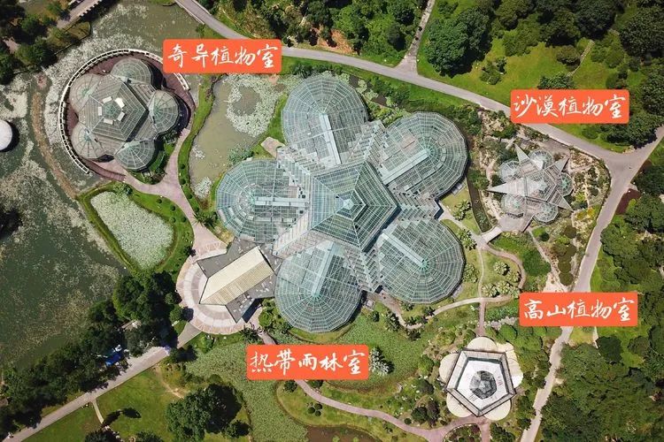 300+万㎡原始森林秘境，天河就有