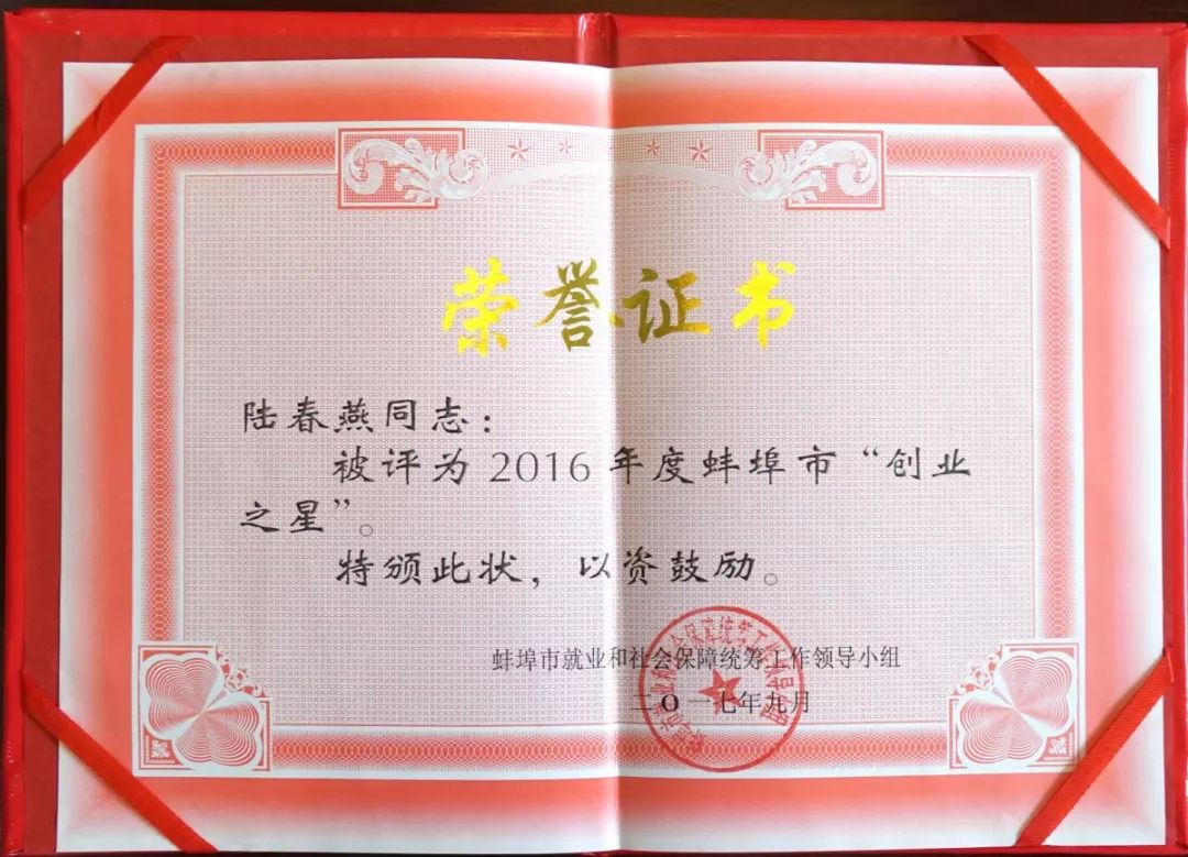 安徽省蚌埠市陆春燕,蚌埠陆春燕