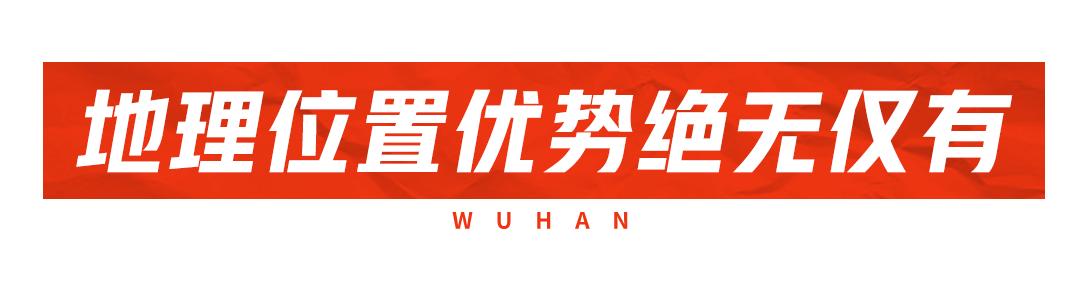 武汉空港新城会展中心,武汉空港国际商务新城最新规划