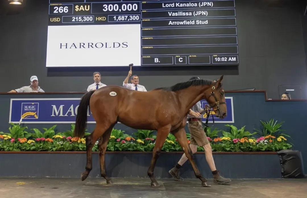 日本种公马“龙王”之子“众神之首”斩获澳洲700万奖金蓝钻锦标