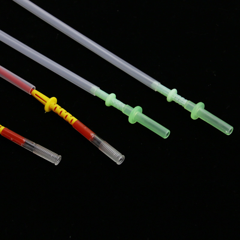 猪人工授精插管正确方法,猪的自然繁育人工授精