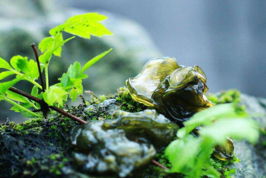 在家怎么炒粉丝不粘锅,粉丝怎么炒才不会粘锅变成一坨