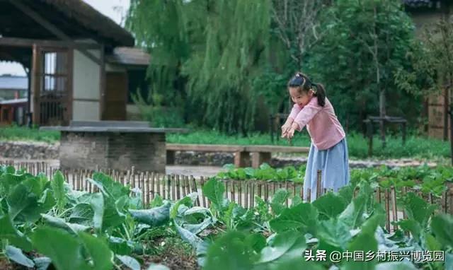 乡村振兴案例2021,乡村振兴案例2022