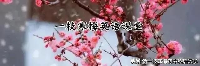 三年级下册英语句型与语法归纳,英语高级语法句型结构大全