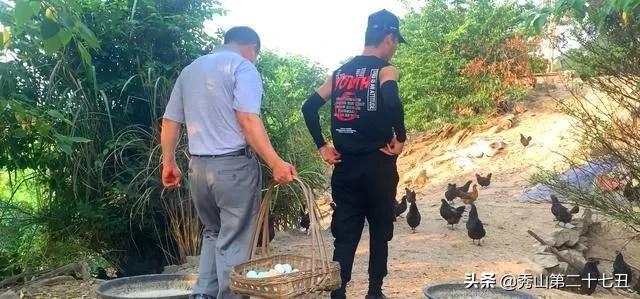 一万只土鸡卖柴鸡蛋年入百万,农村小伙养鸡一只鸡最贵卖1100元