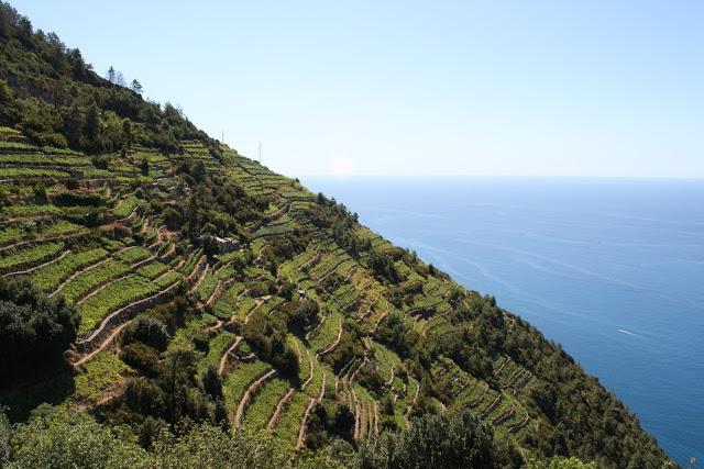 同样是渔村旅游，为啥这里美得像明信片？咱们的只能看脏乱差？！