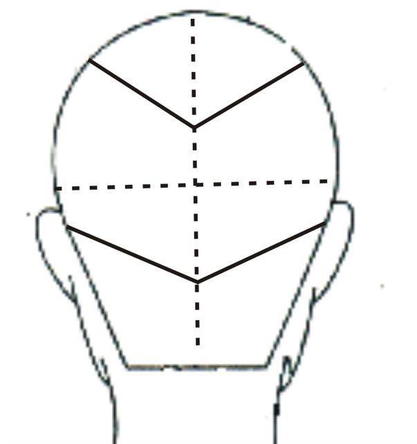 学美发基础从哪里开始,基础剪发美发培训
