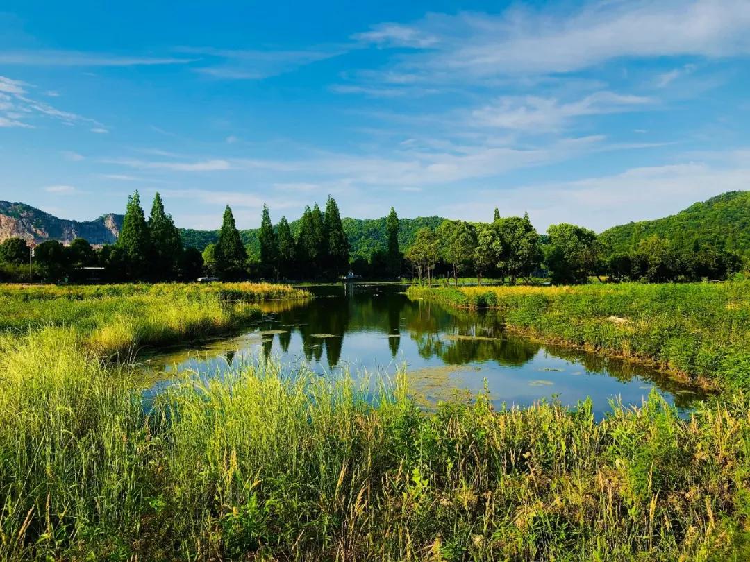 杭州之江高中2020录取分数线,杭州之江中学2020中考情况