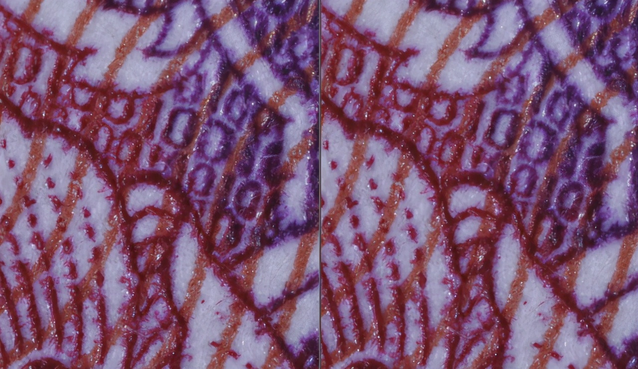 佳能最值得买的三个镜头,佳能全画幅无反推荐