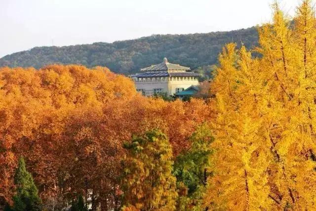你真的了解江夏吗,简单介绍一下关于武汉