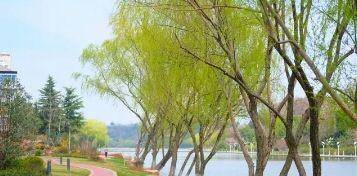 南京评选过十佳宜居城市,南京市三大片区