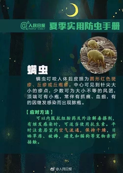 *处私**被咬，女童不幸离世，要命的虫子专盯这3种宝宝，家长要注意