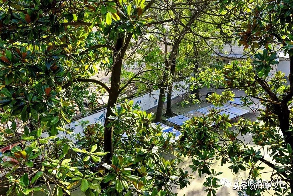 义乌稠城三小与福田小学,义乌市稠城第三小学老校区