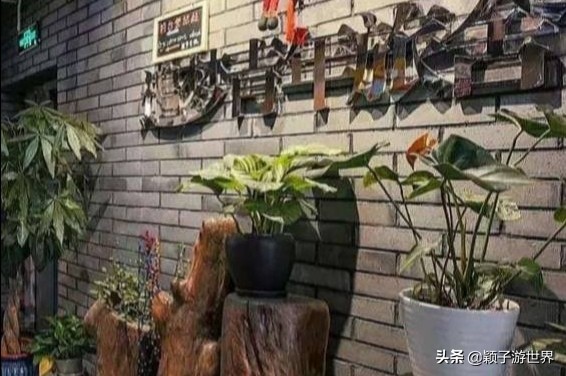 成都比星级酒店舒适的青旅，聚集着一群最会玩能玩的“小青年”