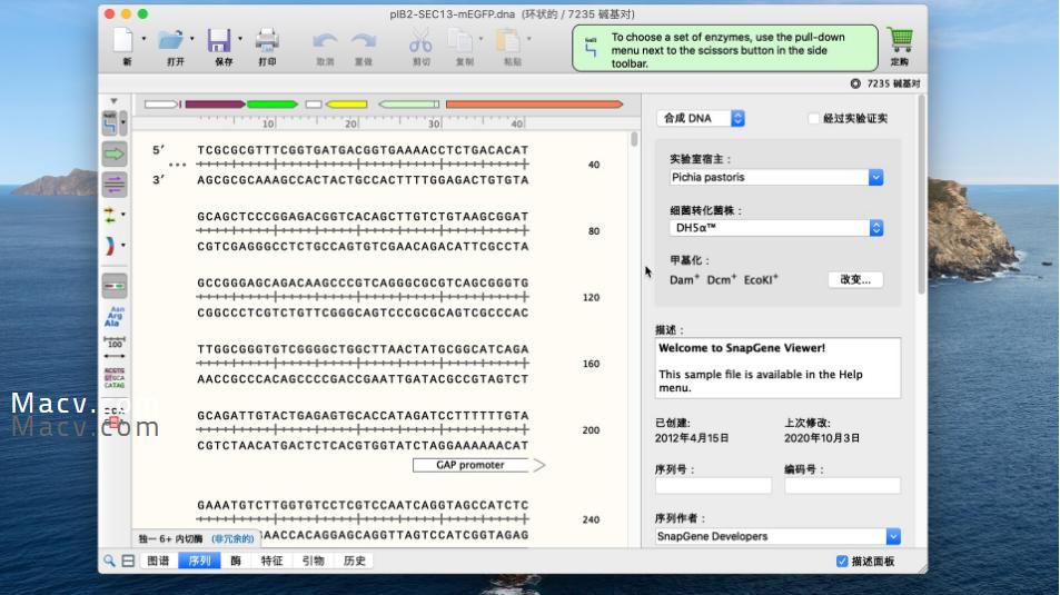 SnapGeneViewerformac,生物分子克隆软件5.2.5免费中文版