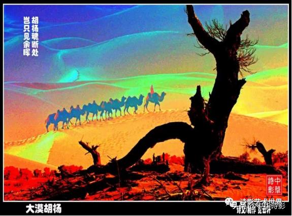 中华诗影大课堂,中华诗影艺术