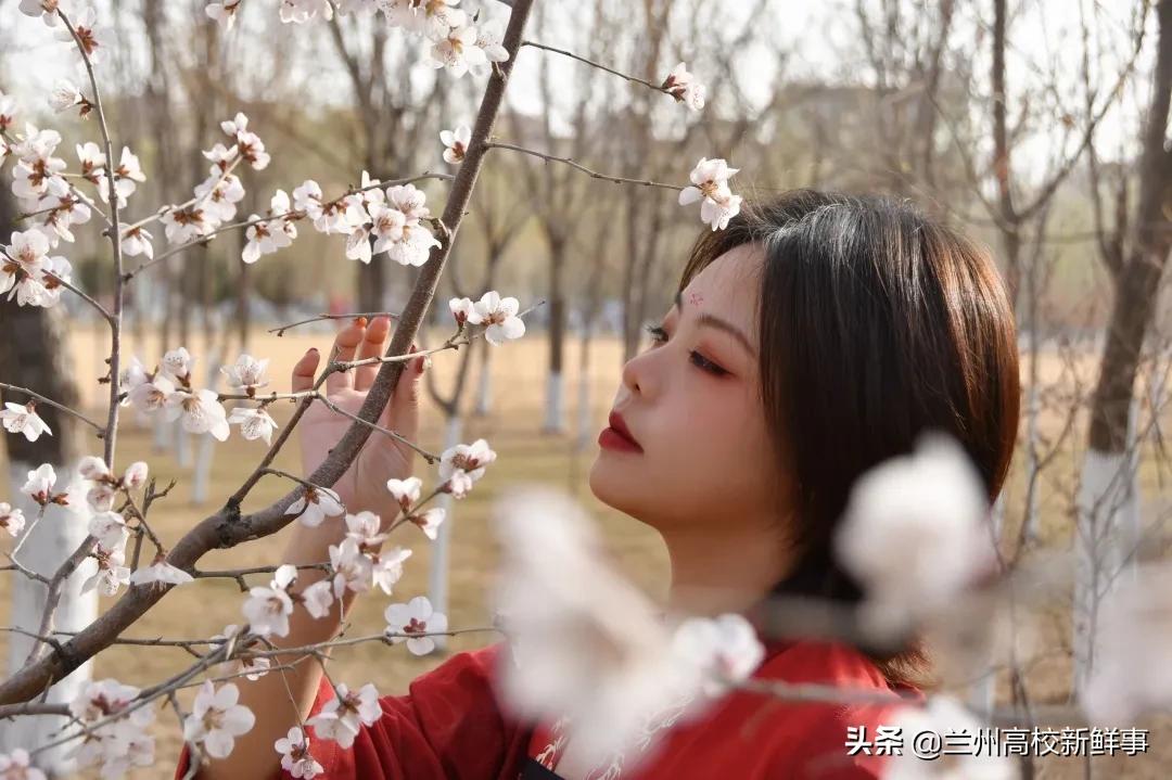 兰财校花,高校校花青春来袭你pick哪一款