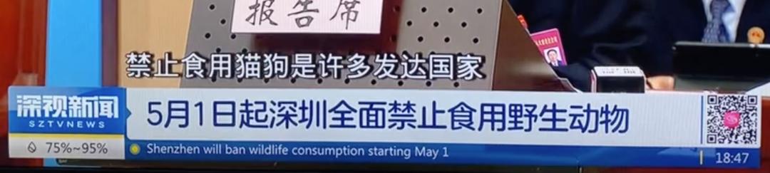 中国禁止食猫狗的城市,对深圳立法禁食猫狗的官方评论