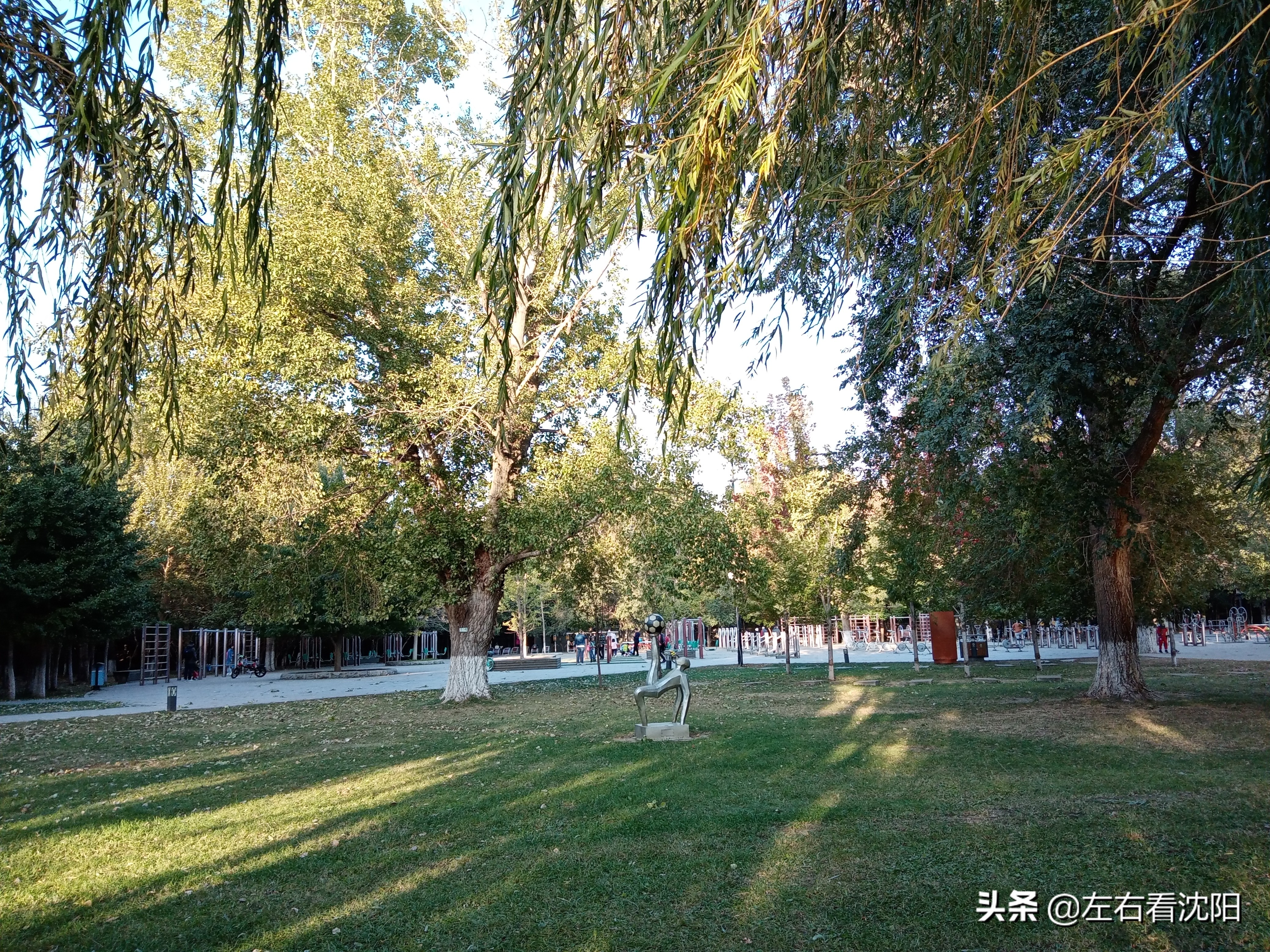 沈阳沈水湾公园看日出,沈阳浑河看海的地方