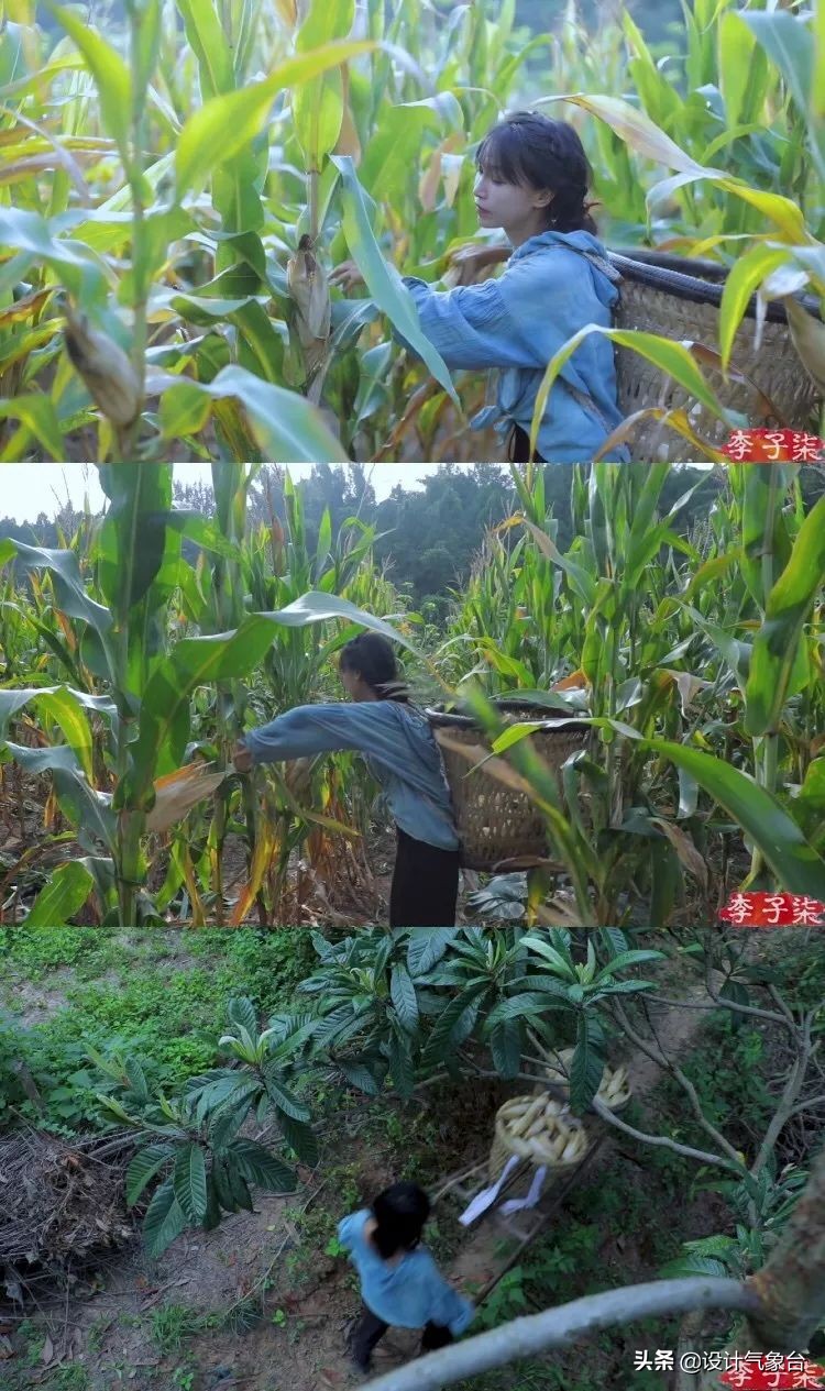 李子柒生活大揭秘,多少人羡慕李子柒的生活