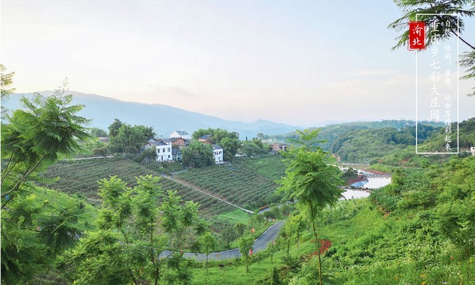 渝北周边采摘推荐,渝北茨竹附近采摘园