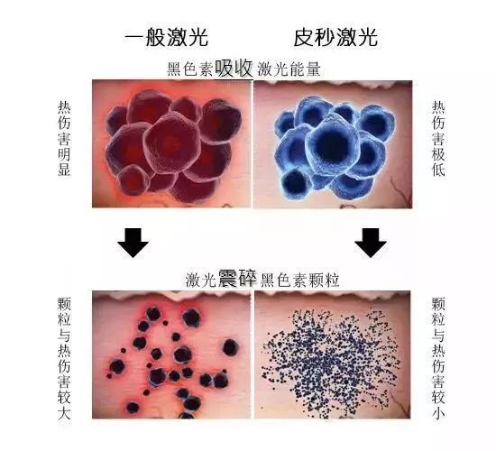 合作企业|定制美丽，章法集团携手丽美妍为您的美丽护航！