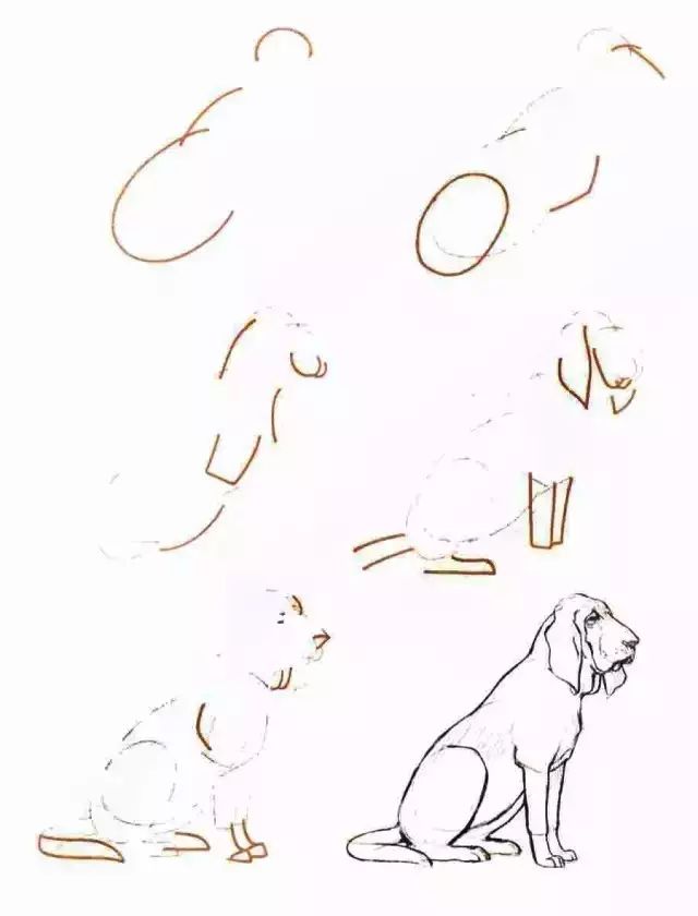 你想要的简笔画教程,一学就会的简笔画教程