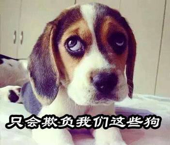 有趣的粤语俗语大全,粤语趣味100句