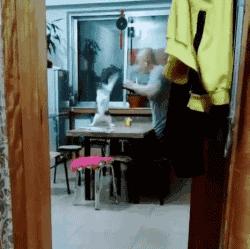 搞笑gif姑娘你也太强大了,搞笑gif开心一刻妹子的眼神