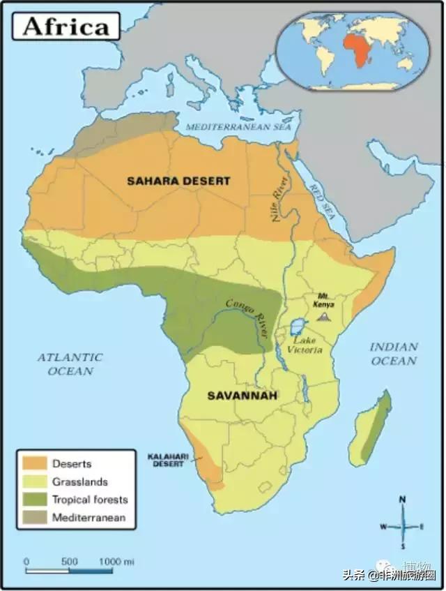 黑人跑得快是因为人种优势嘛？