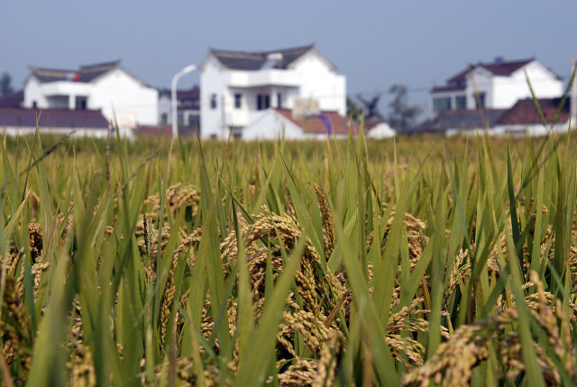 孩子没钱读书怎么办,不会读书的孩子应该怎么办
